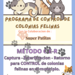 Colonias de gatos comunitarias