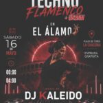 Fiesta joven Techno Flamenco
